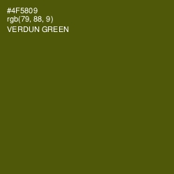 #4F5809 - Verdun Green Color Image